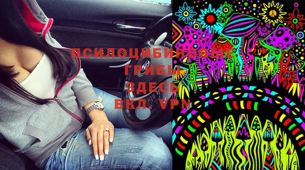 не бодяженный Алексин