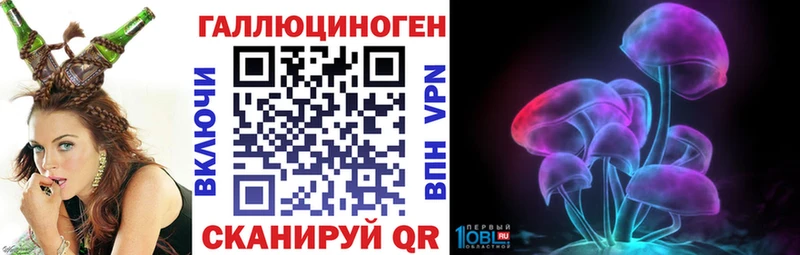 Галлюциногенные грибы Psilocybe  Солнечногорск 